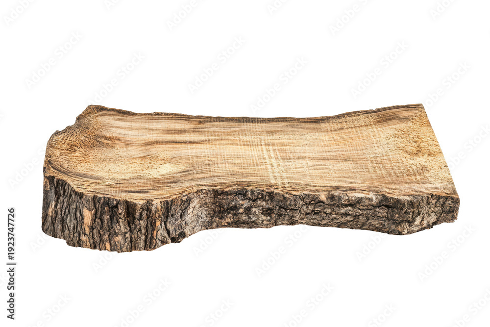 Fototapeta premium Fragment of dried plant root with rough texture isolated on transparent background. Piece of wood that has been cut dry isolated on white background