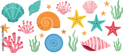 Colorful sea shells, coral and starfish set. Cute flat marine elements collection. Summer beach illustration isolated on transparent background.