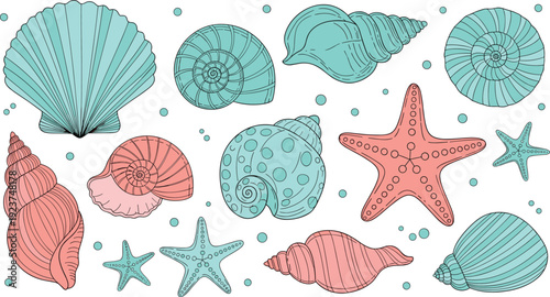 Pastel sea shells and starfish set. Hand drawn marine collection with scallop and spiral shells. Cute ocean illustration isolated on transparent background.