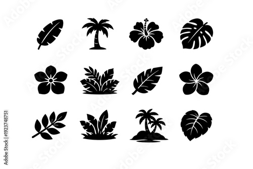Tropical Flora Icons. Tropical flora. Solid icon set of Tropical flora: banana leaf, palm tree, hibiscus flower, monstera leaf cut, tropical flower, jungle
