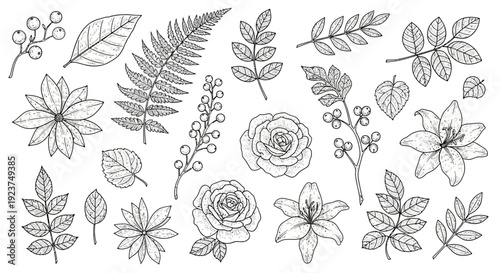 A delightful collection of hand-drawn botanical illustrations featuring various flowers, leaves, and berries