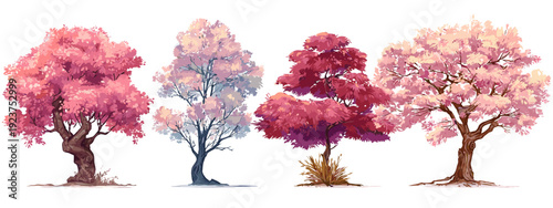 cherry tree sacura  in bloom flat style vector illustration isolated on white background