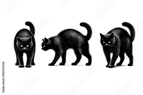 Animal silhouette of a walking cat with arched back shown from front view, side view, and three-quarter view as a single object set with realistic proportions.