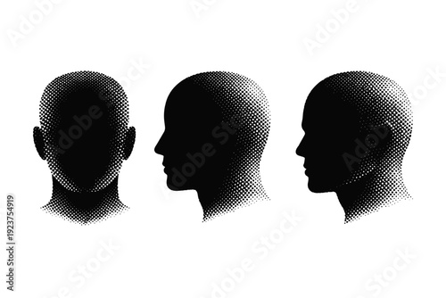 Head silhouette a human head with neutral proportions shown in front view side profile and three-quarter view focusing on overall cranial