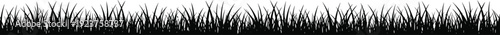 Vector illustration of grass silhouette strip with natural blades, outdoor ground cover, textured design decorative motifs