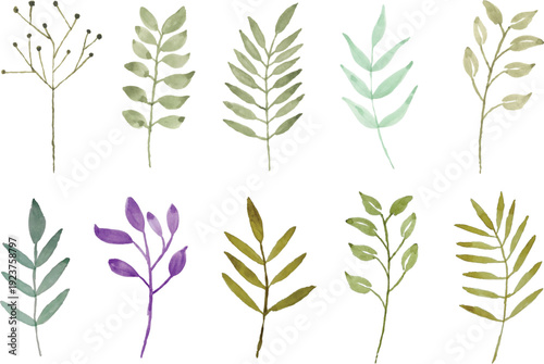 Watercolor painted botanical in various green and purple hues
