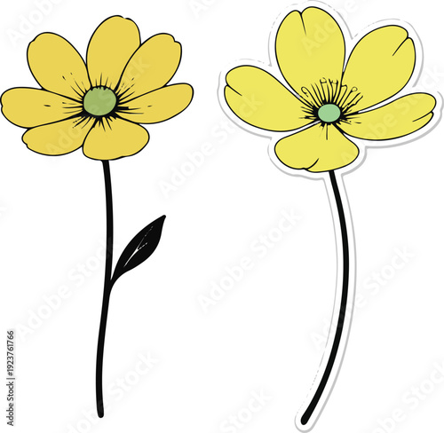  Minimalist natural floral vector sticker of buttercup flower with stem, bold black thick clean outline, pure white background 1