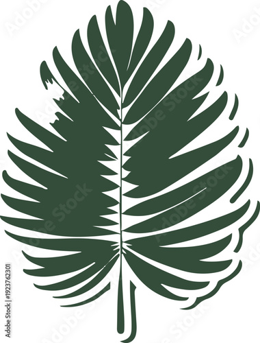  Minimalist natural floral vector sticker of coconut palm leaf, bold black thick clean outline, pure white background