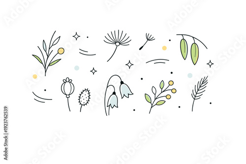 Wild grass and meadow details. Minimal botanical elements inspired by wild plants, seed pods, and thin leaves, floating lightly in clean space. Calm editorial