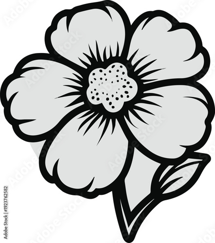  Minimalist natural floral vector sticker of cotton flower with boll, bold black thick clean outline, pure white background