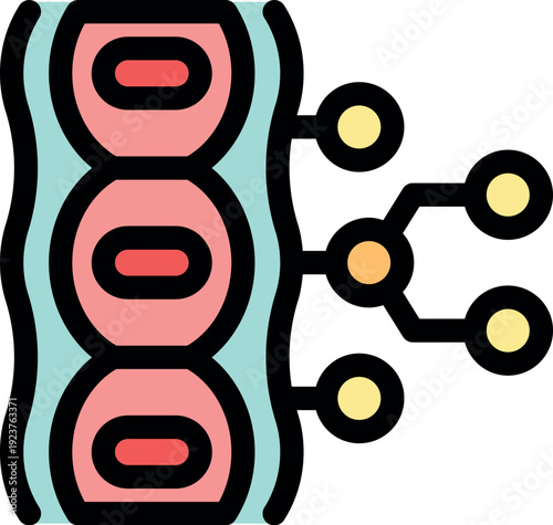 Biological process of cell division and growth, showing how cells multiply and contribute to the development of organisms