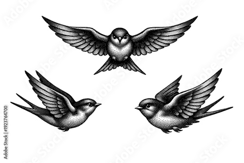 Halftone tattoo flash swallow A flying swallow tattoo symbol with spread wings shown in front view, side view, and three-quarter view as