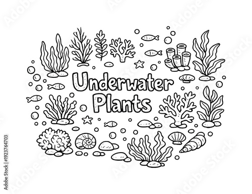 Underwater Plants. Hand-drawn doodle illustration of Underwater Plants. seaweed, kelp, coral
