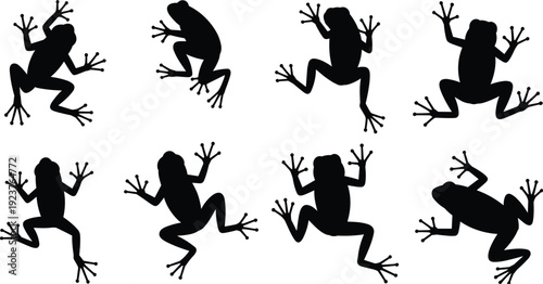 Collection of Eight Black Frog Silhouettes in Various Poses on White Background frogs