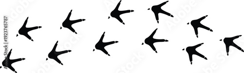Bird Footprints Silhouette Trail Isolated on White Background – Wildlife Track Pattern Design