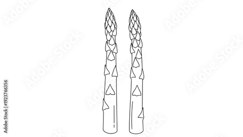 Black and white line drawing of two asparagus spears side by side.
