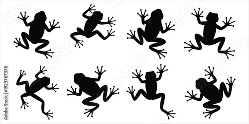 Set of Eight Black Frog Silhouettes in Various Poses on White Background frogs collection