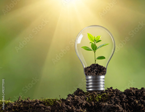 light bulb with plant inside
