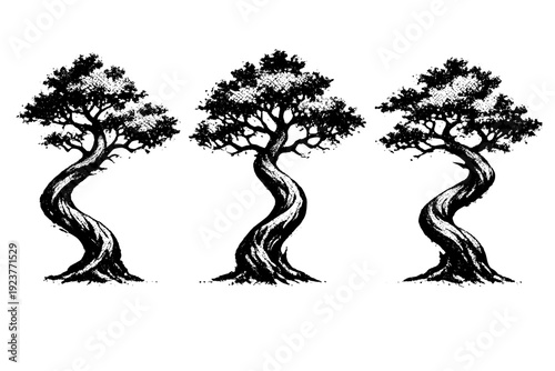 Single tree silhouette twisted trunk tree, a single tree with a curved trunk and irregular branching that emphasizes organic