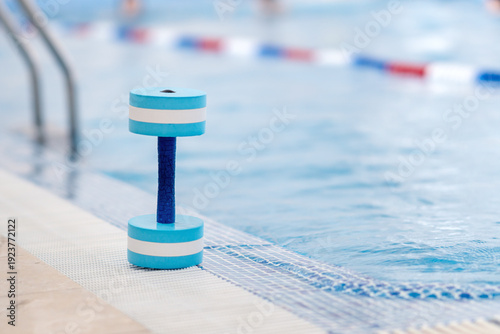 Foam dumbbells for water workouts sit on the edge of a pool