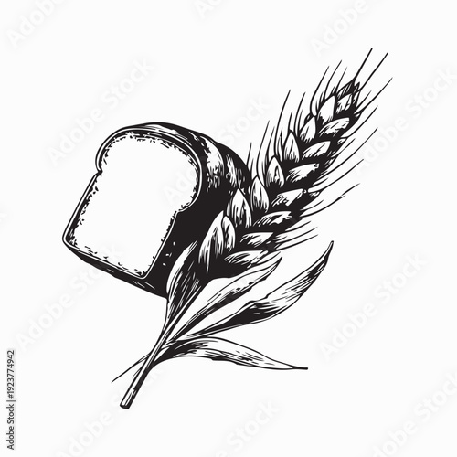 Rustic Bread with Wheat Ear Vector Design for Bakery Logo