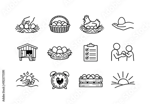 Fresh eggs routine. Line outline icon set of fresh eggs routine: egg collection, basket full