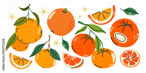Cartoon bright orange fruits elements set doodle style. Fresh citrus with leaves, branches, flowers, ripe oranges whole and sliced. Natural organic sweet ingredient. Vector food illustration 