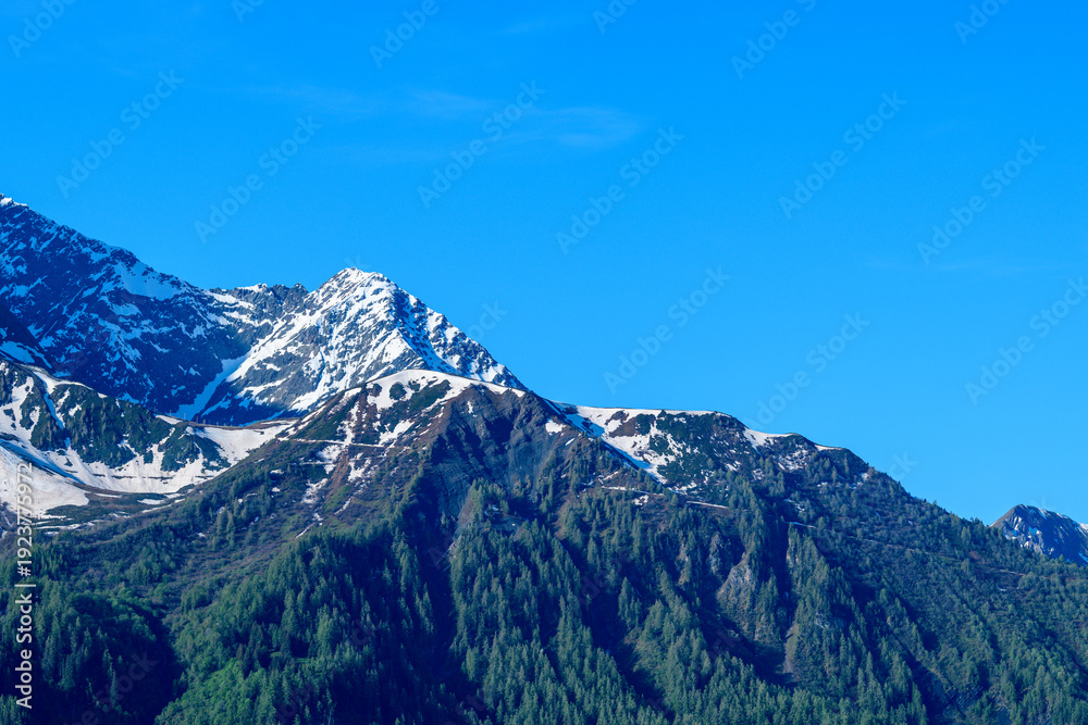 Fototapeta premium Jagged Mont Lachat ridge features lingering snow patches above dense green pine forest, set against a vivid blue sky. Bright sunlight enhances the crisp alpine textures and sharp mountain contours.
