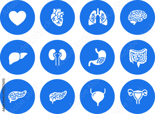 Human Internal Organs Icon Set on Classic Blue UI Buttons, Minimalist Anatomy Vector Illustrations for Professional Medical & Healthcare Apps