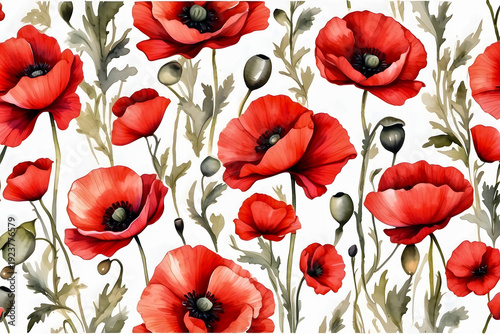 Seamless watercolor pattern of vibrant red poppies isolated on white background.