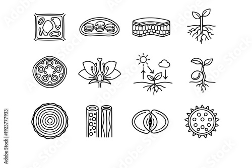 Plant Biology. Line icon set of Plant Biology: plant cell, chloroplast, leaf cross section, root system, stem structure, flower anatomy, photosynthesis arrows,