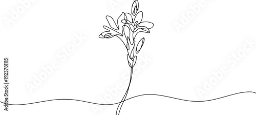 One continuous line drawing beauty fresh polianthes tuberosa for home decor art wall poster print. Decorative tuberose flower concept. one line Icon drawing