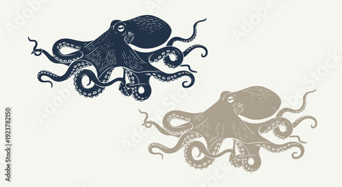 Two detailed illustrations of octopuses, one dark blue and one beige, against a light background.