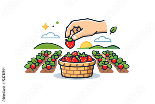 Hand picking strawberries as a symbol of local food small basket filling with berries among neat rows of plants, expressing sustainability,