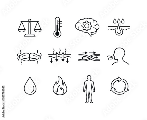 Homeostasis and temperature control. Line outline icon set of Homeostasis and temperature