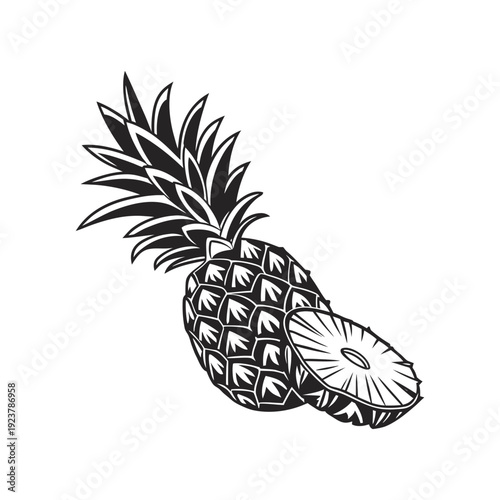 hand drawn vector illustration of a pineapple