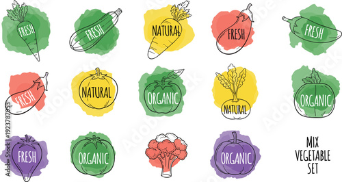 Watercolor Organic Vegetable Badge Set – Fresh Natural Food Vector Collection