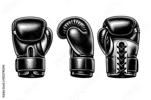 Professional boxing gloves A professional boxing glove represented in three views highlighting modern ergonomic shape and reinforced knuckle