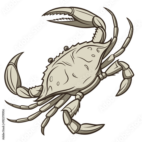 A cartoon drawing of a crab on a white background