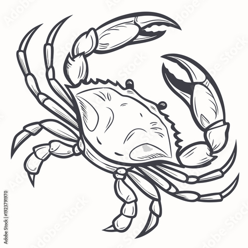 A line drawing of a crab on a white background