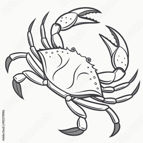 A black and white drawing of a crab
