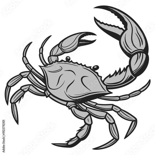 A black and white drawing of a crab