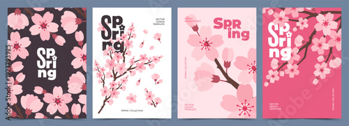 Spring poster set with sakura cherry blossom branches. Floral design templates for Hanami celebration, banner, greeting cards, cover, seasonal decor, advertising and social media content