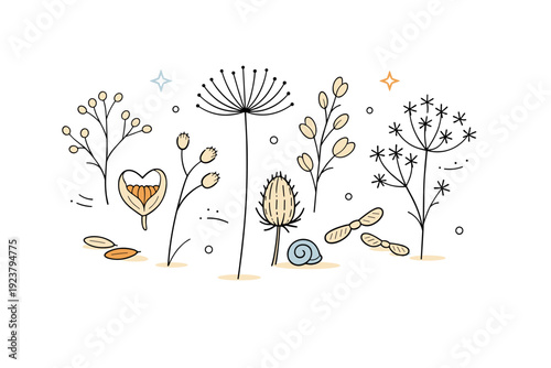 Dry plants and seeds. Delicate dried stems and seed heads arranged lightly on a clean surface, calm botanical mood with airy spacing and tiny decorative dots