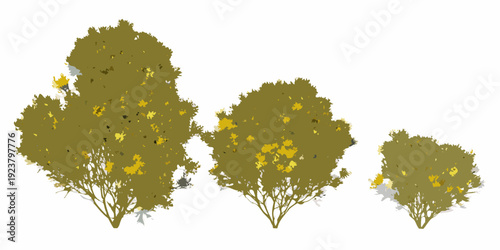Four stylized trees with yellow flowers against a white background