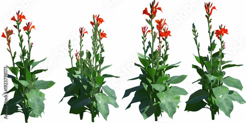 A vibrant collection of red canna lilies with lush green foliage