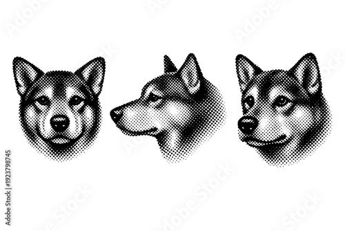 Halftone pop art dog face. A single dog face shown in three views: front view, side profile view, and three-quarter view, emphasizing snout