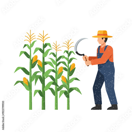 Farmer Harvesting Corn Field with Sickle