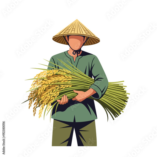 Farmer holding harvested rice stalks, traditional conical hat, illustration