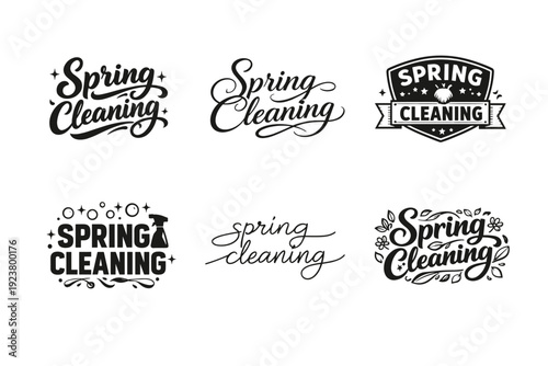 Spring cleaning. Set lettering. harmonious lettering variations of the same emblematic concept, each with different artistic interpretation